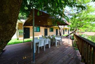 Forest 323 Pension Newly Opened in 2024 - 1