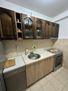 Retro Style Apartment in Skopje Center with Parking - Skopje - 5