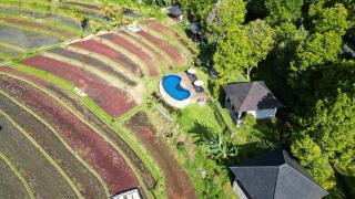 MAYURA BALI VILLA - Munduk - 5