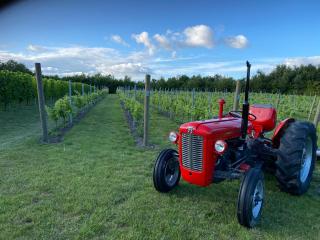 Langelinie Vin - Countryside - Frederikssund - 9