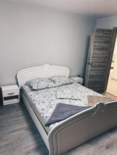 Standart - апартаменты рядом с термальными источникамм - Berehove - 4
