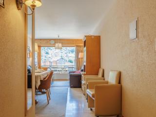Apartment Rossignol C4 by Interhome - Nendaz - 5