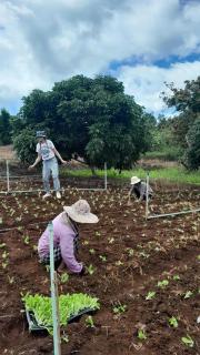 Watchara organic farm - 6