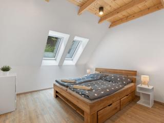 Apartment U Buku-3 by Interhome - Bedřichov - 8