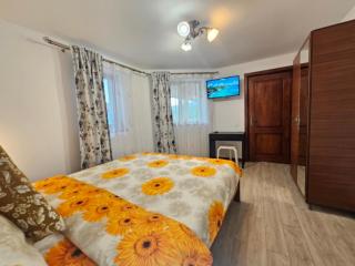 Casa Hera - Călimăneşti - 5