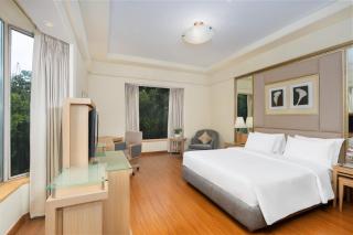 Park Plaza Gurgaon - Gurgaon - 4