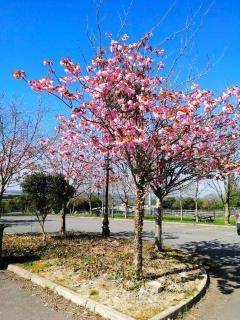 Tara View Apartments - Garristown - 0