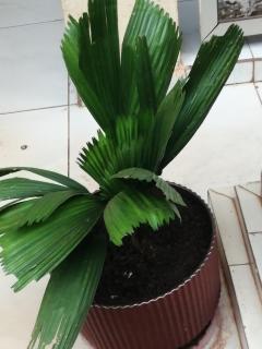 Appartement haute gamme - Yaoundé - 9