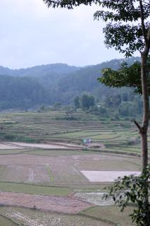 Plinh Homestay - Kon Plong - 1