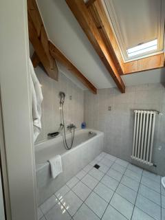 Special apartment in Ascona - Ascona - 6