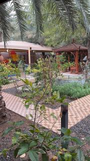 أستراحة الرأسيات - 4