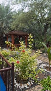 أستراحة الرأسيات - 1