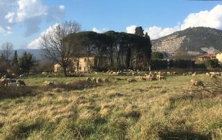 Casa Silvy - Vista su Monsummano Terme - Centro Termale - 5
