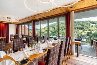 Wein- und Klimahotel Bergfriedel - 3