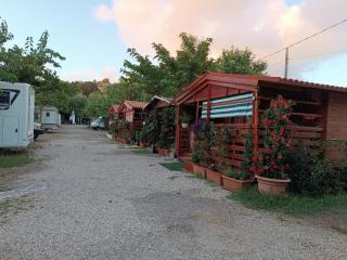 LA VOLPE DI AGROPOLI - 5