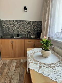 Pokoje i Apartamenty Regionalny Styl ul Króle 1a Zakopane - Zakopane - 8