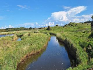 Tranquil Retreat in Hejlsminde-By Traum - 3