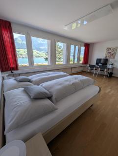 Hotel Kurhaus am Sarnersee - Sarnen - 8