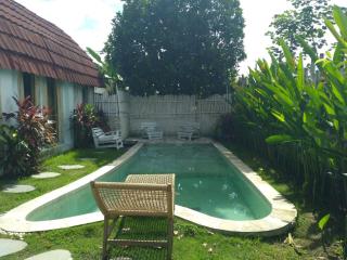 Obsidian Gym Retreat Rustic 2BR Villa with Pool - 4