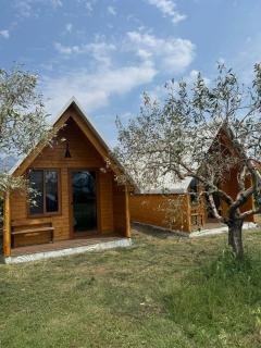 Camping Tree Olives - Shkodër - 6