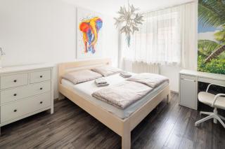 Piestany Comfortable Apartment - 6