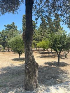 La casa di Giuliana - Palmi - 9