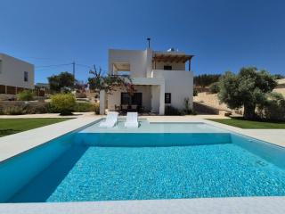 Villa Neroli Pool & Mountain Views in Pitsidia - Pitsidia - 1