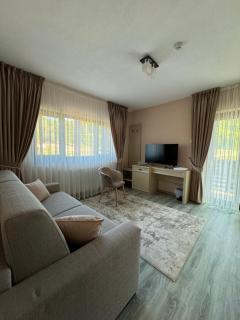 Pensiunea Cotul Dorului - Văleni-Stînişoara - 7