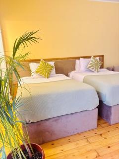 Stylish Studio by the Nile - 6