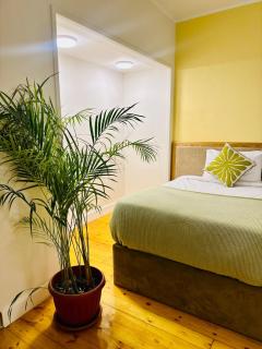 Stylish Studio by the Nile - Cairo - 5