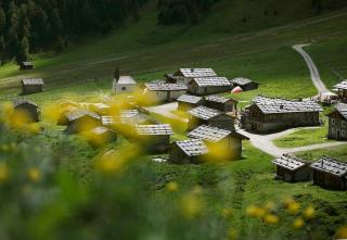 Lechnerhütte Fane Alm - Vals - 6