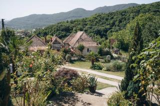 Casa cu Palmieri - 7