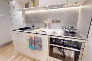 Student Only Bronze 2 Bed Apartment Plus Paris Gardens - Londra - 2