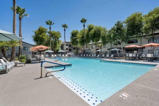 Boulevard Stays Quiet Modern 1BR Pickleball Pool Parking Gym 07 - Chandler - 9