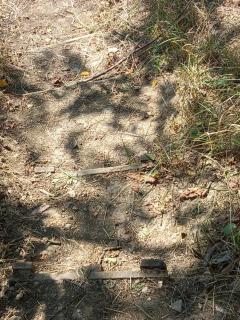 Apartman Lola Ruža - 2