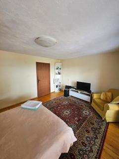 Villa Altiparmak - Resen - 7
