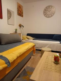 Apartman Lola Ruža - Zrenjanin - 6