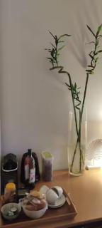 Charmant Studio near Paris 25 mins by metro Metro 2 mins away - Créteil - 7