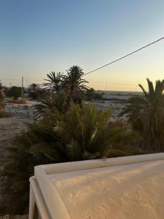 Djerba Apparts - 3