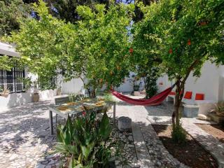 La Belle Carthagene - 1