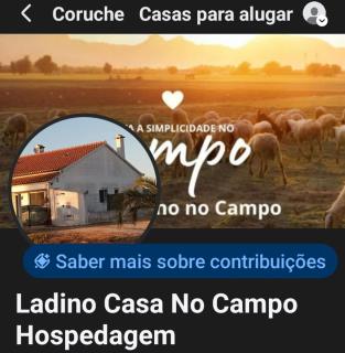 Casa Ladino no Campo - Monte dos Pelados - 6