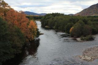 Biallid House - Newtonmore - 6