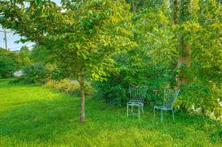 2 Mi to Hiking Trails Cozy Fayetteville Cottage! - 7