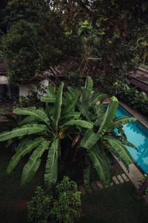 Paddle Cult Surf & Yoga - Varkala - 6