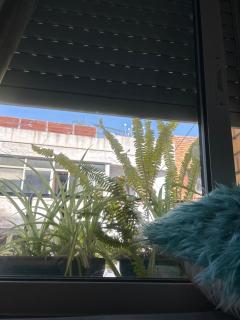 Habitacion - 1