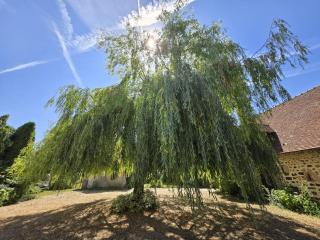 Campagne normande en famille - 4