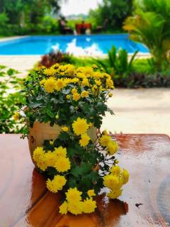Tuyet's Homestay - Ninh Bình - 3
