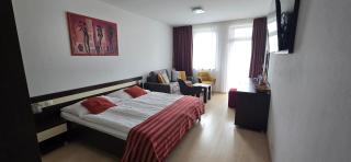 Apartmán AQUAPARK - Hotel Bešeňová - Bešeňová - 9