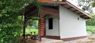 FourTwoEight Mini House - 7