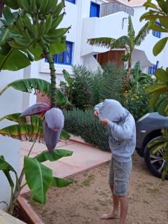 Appartement Le Sable Uniquement les familles - Oualidia - 4